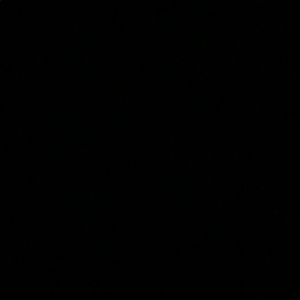 Meet your Posher, Bettina